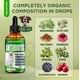 thumbnail image 3 of Antibiótico natural para perros SalutemPet 60 ml sabor tocino, 3 of 8