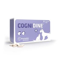 Cognidine - 60 Comprimidos - Cognidine 60 Comprimidos