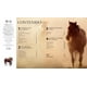 thumbnail image 3 of Enciclopedia Del Caballo (2023), 3 of 6