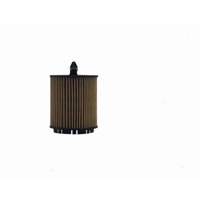 Filtro Aceite Gm 12605566