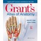 thumbnail image 1 of Atlas de Anatomía Lippincott Williams & Wilkins, 1 of 1