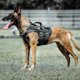 thumbnail image 1 of Arnés táctico PETAC GEAR K9 con sistema MOLLE M, 1 of 4