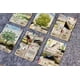 thumbnail image 3 of Juego de cartas Asmodee Lookout Forest Shuffle Dartmoor, 3 of 7