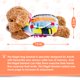 thumbnail image 2 of Manta Sensorial ibowee Teddy Perro para Adultos Mayores, 2 of 6