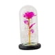 thumbnail image 3 of Flor De Rosa Con Cubierta De Vidrio Lámpara De Noche Para Boda Hogar Dormitorio Rosa Roja, 3 of 5