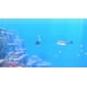 thumbnail image 4 of Dave The Diver: Anniversary Edition - Nintendo Switch Fisico, 4 of 4