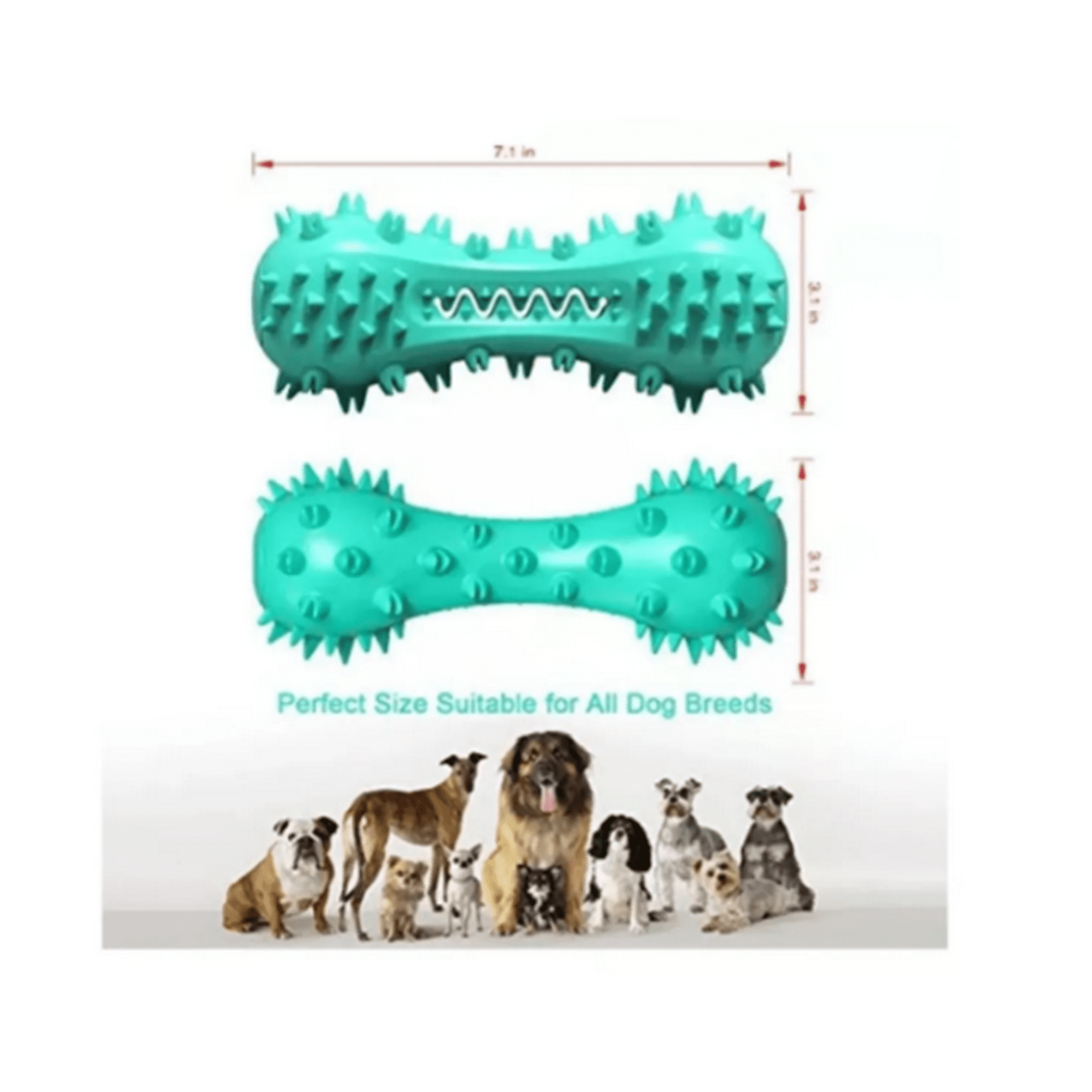 Genérico - Juguete Masticable Para Perros Lifein Cepillo De Dientes