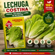 thumbnail image 3 of Semillas Lechuga Costina para Huerto | Las Encinas, 3 of 4