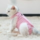 thumbnail image 3 of Traje de recuperación profesional para gatos, ideal para heridas abdominales o enfermedades de la piel. Alternativa al collar isabelino para gatos y perros. Uso posoperatorio para evitar lamidos., 3 of 8