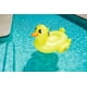 thumbnail image 2 of Flotador Pato Montable, 2 of 5