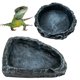 thumbnail image 1 of Plato de alimentación para reptiles CATENESS para lagartos dragones barbudos, 1 of 6
