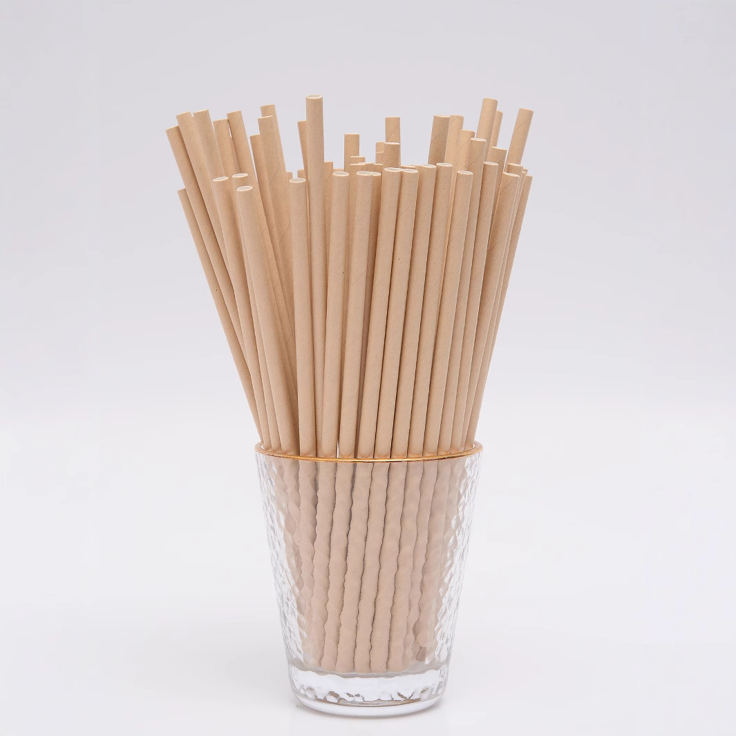 Xmhytop Popotes De Plástico 100 Unidades 0.6X19Cm Caqui