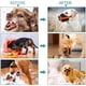 thumbnail image 4 of Bozal para perro, bozal de malla suave para perros pequeños, medianos y grandes, chihuahuas, caniches, beagles, teckels, corgis y labradores., 4 of 5