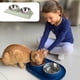 thumbnail image 4 of Comedero inclinado Dress you go para bulldog francés y gatos, comida de fácil acceso, 4 of 5