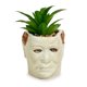 thumbnail image 1 of Mini maceta Toynk Halloween Michael Myers con suculentas, 1 of 9