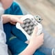 thumbnail image 3 of Fidget Pop It Electronico De Buho, 3 of 7