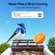 thumbnail image 3 of Comedero para pájaros con cámara WiFi Wansview F1 2K HD con energía solar, 3 of 8