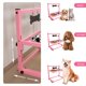 thumbnail image 4 of Cuencos para perros SHAINFUN de altura ajustable, rosa, 10‑25 cm, 4 of 5