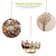 thumbnail image 4 of Posavasos William Craft de Craft Wood Slices, 20 unidades, 7 - 8 cm, 4 of 5