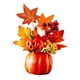 thumbnail image 1 of Decoración De Calabaza De Otoño, Cosecha Decorativa Para Mesa, Centro De Mesa, Estante, Estilo Cocina D, 1 of 5