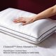 thumbnail image 2 of Almohadas para Cama Blue Ridge Home Fashions Juego Queen 2 Suaves, 2 of 7
