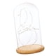 thumbnail image 5 of Funciona con pilas luces de cristal lámpara de mesa cloche luces de hadas artesanías, 5 of 5