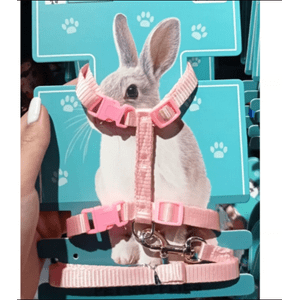Genérico - Arnes Para Conejo Colores Surtidos Mascotas