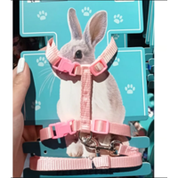 Genérico - Arnes Para Conejo Colores Surtidos Mascotas