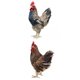 thumbnail image 1 of 2 Uds Estatua De Pollo Realista De Gallina Realista Juguetes De Figuritas De Animales Realistas, 1 of 3