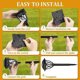 thumbnail image 3 of Luz Solar Exterior GIGALUMI 6 Pack LED Impermeable para Jardín, 3 of 3
