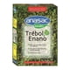 thumbnail image 1 of Semillas de Trébol Enano 250grs - Anasac, 1 of 2