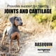 thumbnail image 2 of Nutramax Dasuquin MSM Joint Supplement, Small/Medium Dogs, Chew, 2 of 3