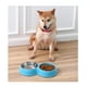 thumbnail image 3 of Plato Comida agua Mascotas Anti-ansiedad Perro Gato Azul, 3 of 3