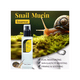 thumbnail image 2 of Esencia de Mucina de Caracol 96 de Disaar 120 ml, 2 of 5