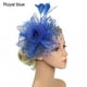 thumbnail image 1 of Elegant Tea Party Fascinator Hat for Women - Feather Mesh Net Veil with Feather Trim - Perfect for Weddings, Halloween Parties, and Special Occasions, 1 of 5