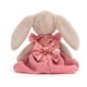 thumbnail image 2 of Peluche Conejita Party Lottie, 2 of 2