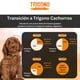 thumbnail image 5 of Alimento para perro cachorro 10Kg, 5 of 5