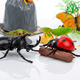 thumbnail image 3 of Set Insectos 20 Piezas - Toyng, 3 of 6