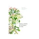 thumbnail image 1 of Plantas y árboles de los bosques de Chile, 1 of 5