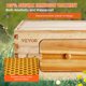 thumbnail image 4 of Caja para colmenas Beehive VEVOR, tamaño mediano, tamaño Super Bee, de 10 marcos, con ventanas, 4 of 9