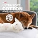 thumbnail image 3 of Peluche ALL FOR PAWS Puppy Heartbeat para perro, 3 of 9