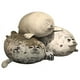 thumbnail image 1 of Peluche Foca Guatona 3 Modelo Foca Gorda Pack, 1 of 2