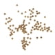 thumbnail image 1 of Moscas atado perlas surtido gancho Nymph ojos del vientre cabeza bolas bolas 2.3mm 100pcs, 1 of 5