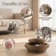 thumbnail image 5 of Juguete para gato FIJEMYA rascador plegable 2 uds, 5 of 9