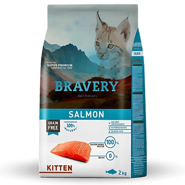 Salmon kitten
