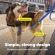 thumbnail image 4 of Correa PetSafe de Nylon 1,8 m Azul Real 3/8 pulg., 4 of 7