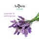 thumbnail image 5 of Detergente para platos AspenClean 1,9 L Lavanda y Hierba de Limón, 5 of 6