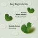 thumbnail image 4 of Spot Patch PURITO SEOUL Wonder Releaf Centella, 51 unidades, 4 of 6