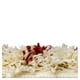 thumbnail image 3 of Alfombra Shaggy Anat1 160x230 Blanco-Rojo, 3 of 3