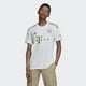 thumbnail image 1 of Camiseta Bayern Munich 2022 2023 Visita Original Adidas, 1 of 2
